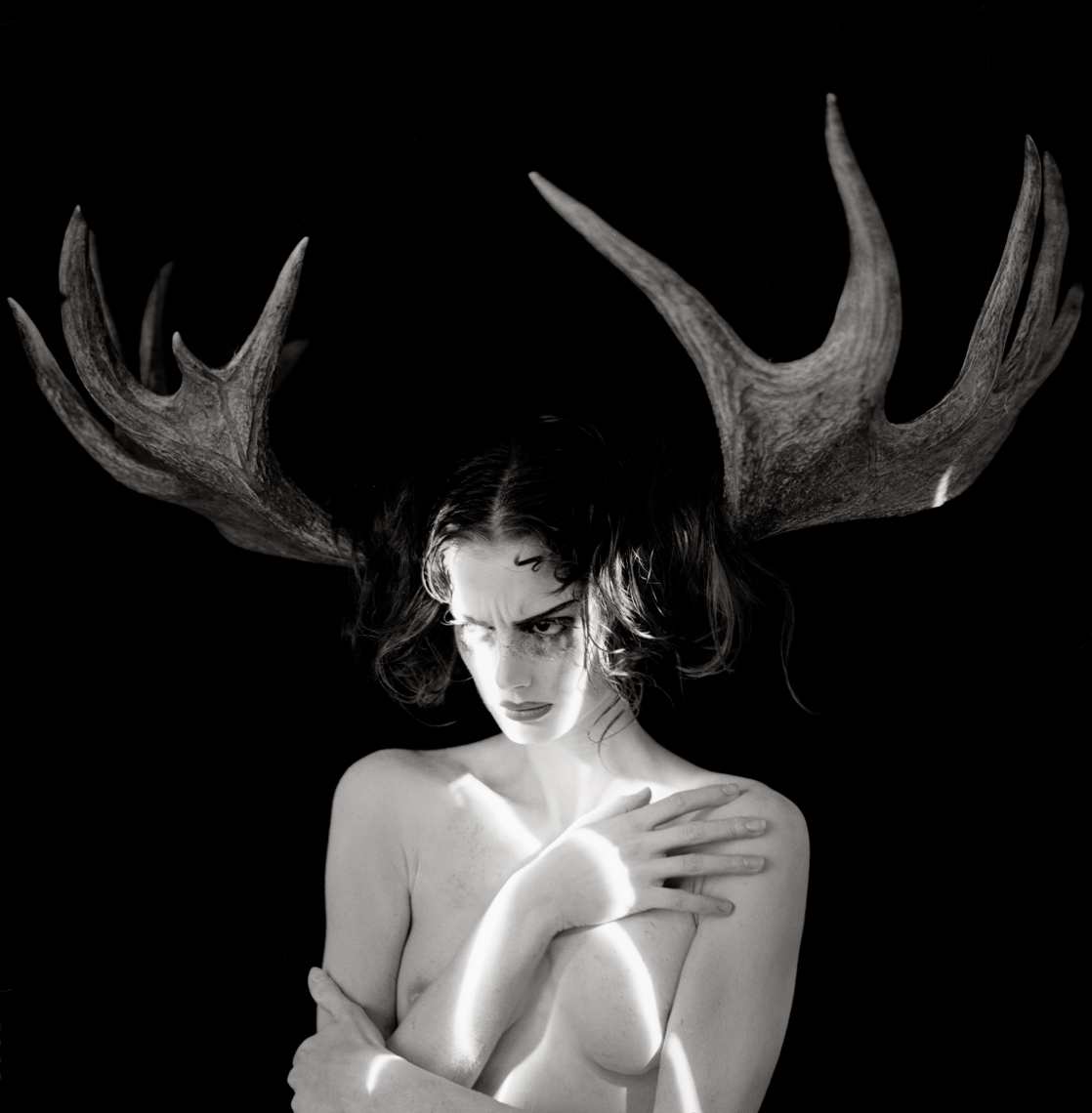 Cerf