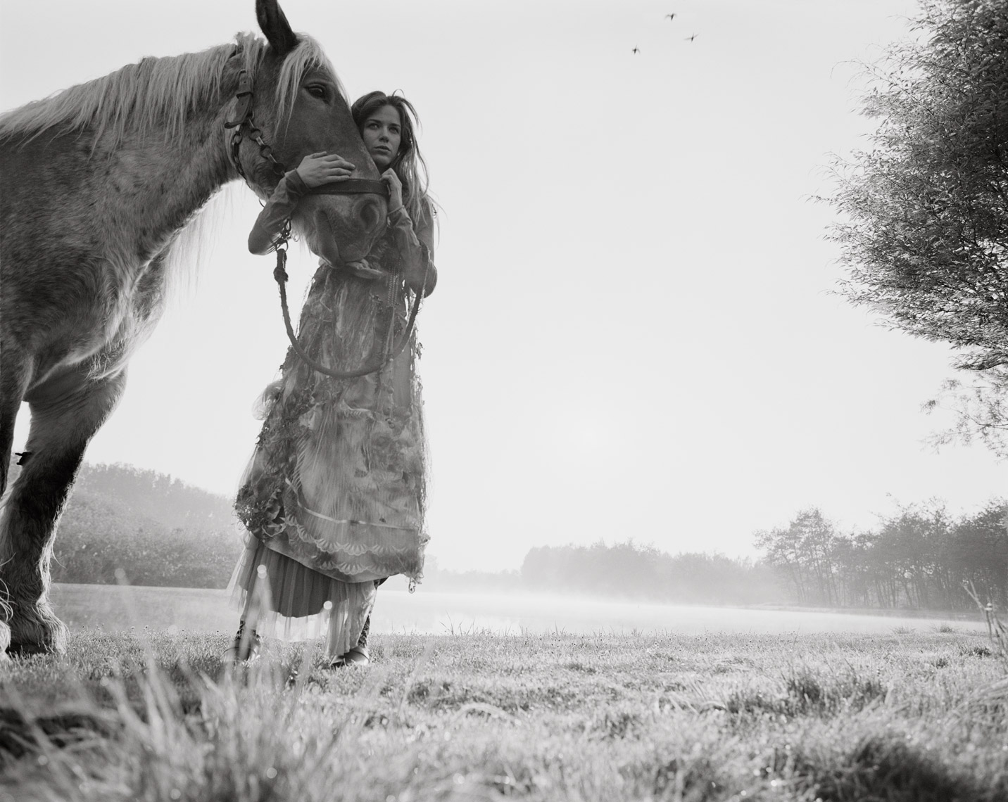 ©Pascal Demeester_"Lost " Shot in Belgium